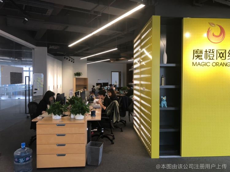 魔橙网络